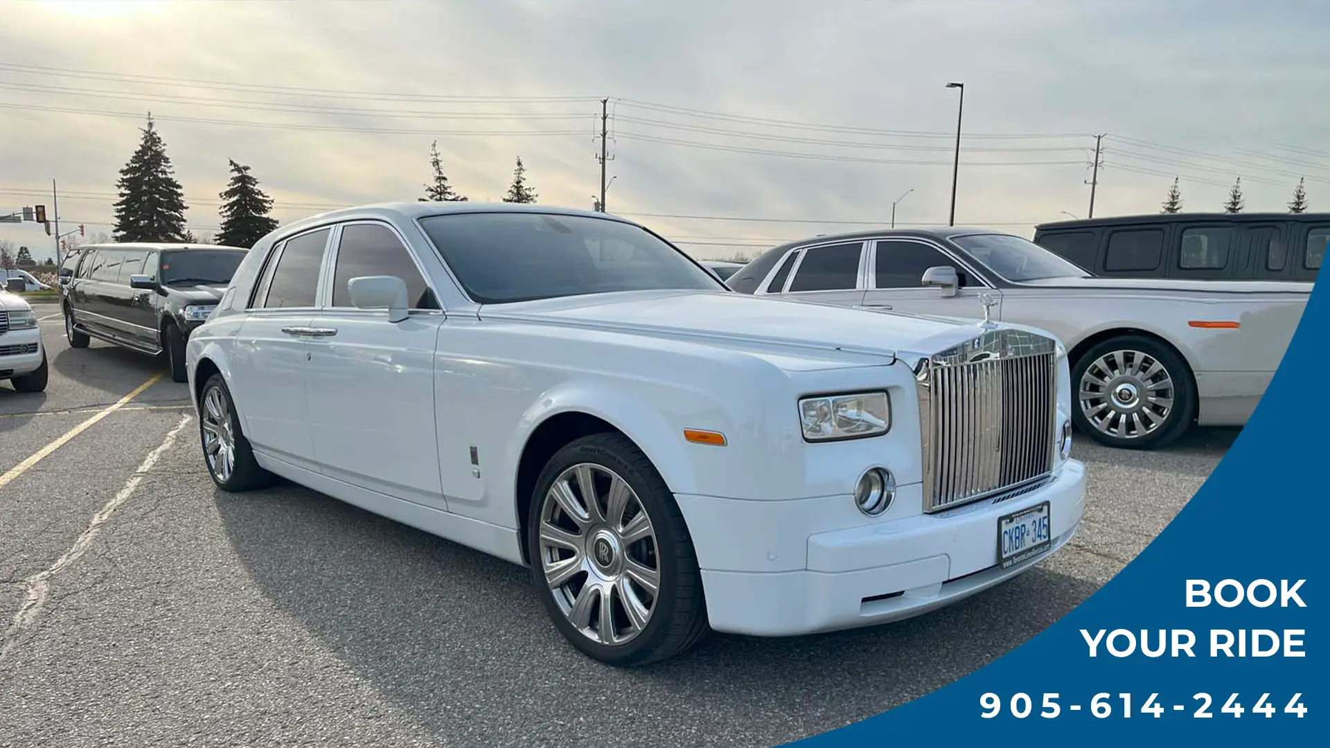 wedding limo services