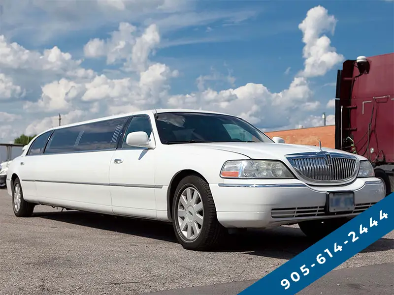 Burlington Party Bus