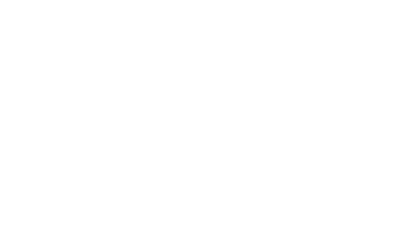 Mississauga Limo Bus